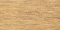 Brika Wood 22.3x44.8 см