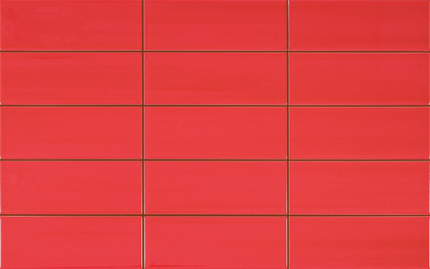 Mosaico Rojo /25х40см/