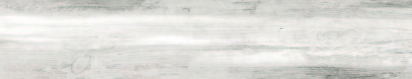 Nautilus Blanco