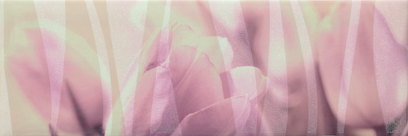 Decor Arome Rose /20x60см/