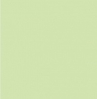Sensation Apple /31.6x31.6см/