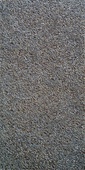 Плочки Surface Dolche 1